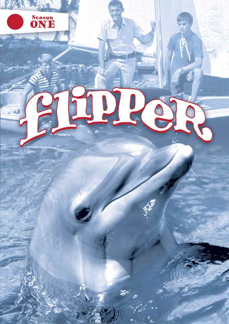 Flipper, uit 1964 was een bekende serie over een dolfijn en twee kinderen